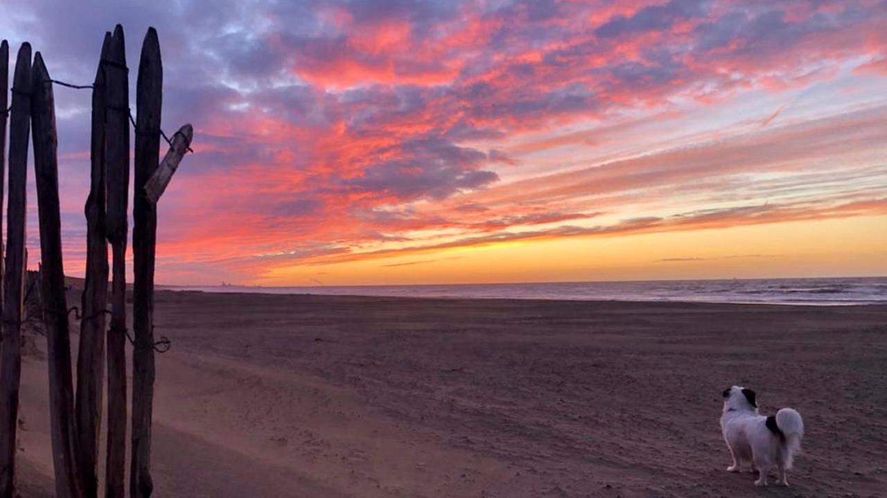 Beach House For You - Luxe Verblijf, 5 Min Van Het Strand كاتفايك أن زي المظهر الخارجي الصورة